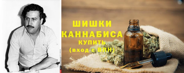 соль ск Арсеньев