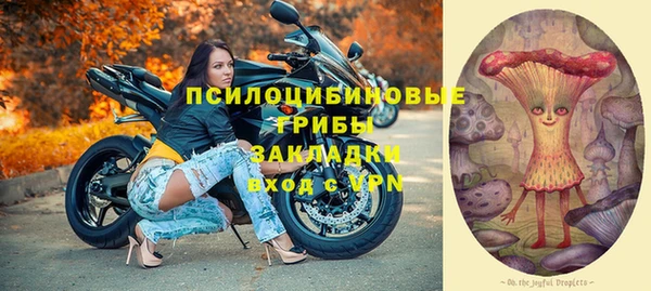 соль ск Арсеньев